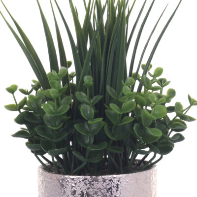 Planta Decorativa Arreglo