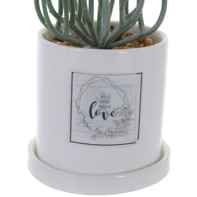 Planta Decorativa All You Need Love Maceta Blanca