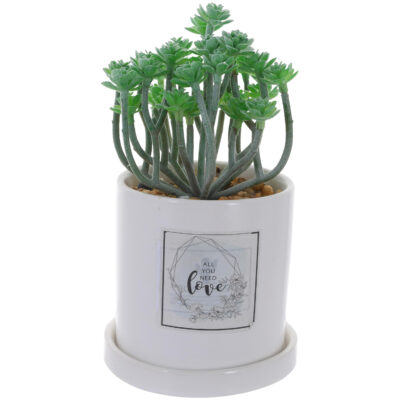 Planta Decorativa All You Need Love Maceta Blanca