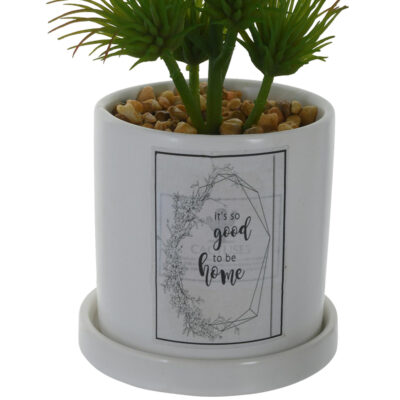 Planta Decorativa Good To Be Home Maceta Blanca