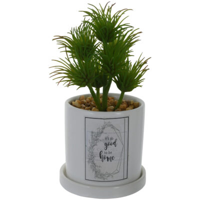 Planta Decorativa Good To Be Home Maceta Blanca