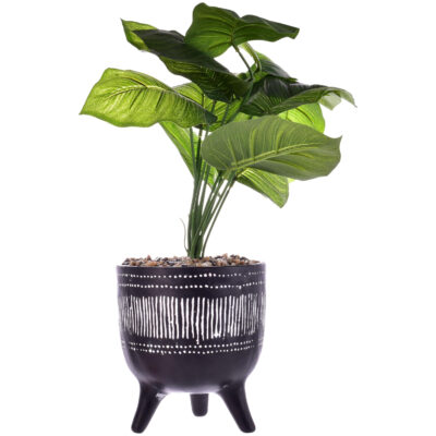 Planta Artificial Dieffenbachia Maceta Congo