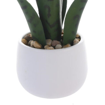 Planta Decorativa Aloe 25 Cms Maceta Blanca