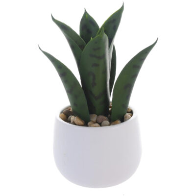 Planta Decorativa Aloe 25 Cms Maceta Blanca