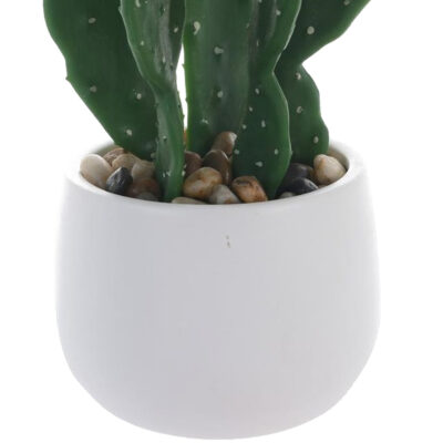 Planta Decorativa Cactus Mouse 25 Cms Maceta Blanca