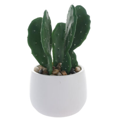 Planta Decorativa Cactus Mouse 25 Cms Maceta Blanca