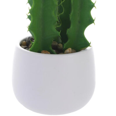 Planta Decorativa Cactus Suculento 25 Cms Maceta Blanca