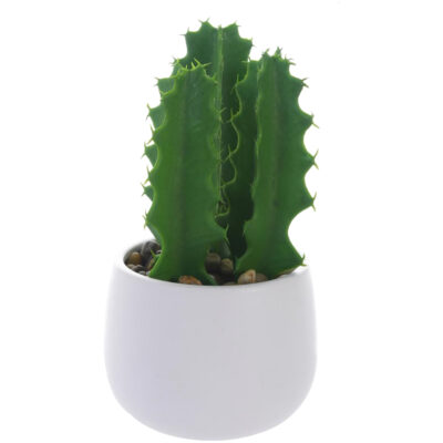 Planta Decorativa Cactus Suculento 25 Cms Maceta Blanca