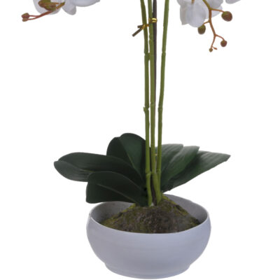 Planta Artificial Orquidea Plus 52 Cms Maceta Blanca