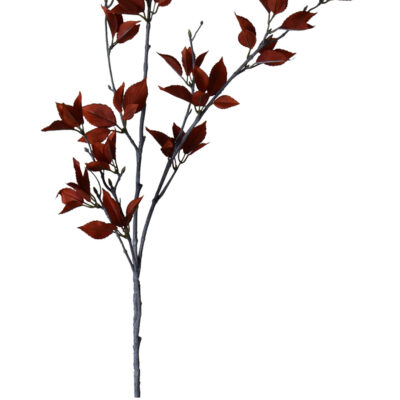 Rama Decorativa de Eucalipto Rojo 120 Cms.