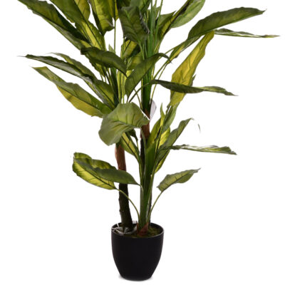 Planta Decorativa Aglaonema Variagado 125 Cms.