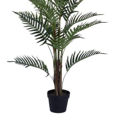 Planta Decorativa Palma Areca 120 Cms.