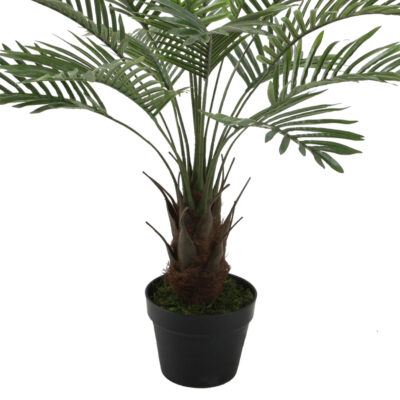 Planta Decorativa Palma Phoenix 90 Cms.