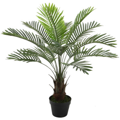 Planta Decorativa Palma Phoenix 90 Cms.