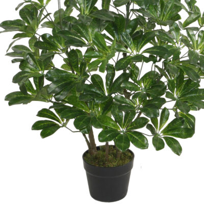 Planta Decorativa Schefflera Frondosa 90 Cms.