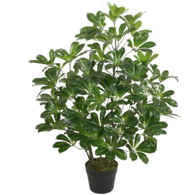 Planta Decorativa Schefflera Frondosa 90 Cms.