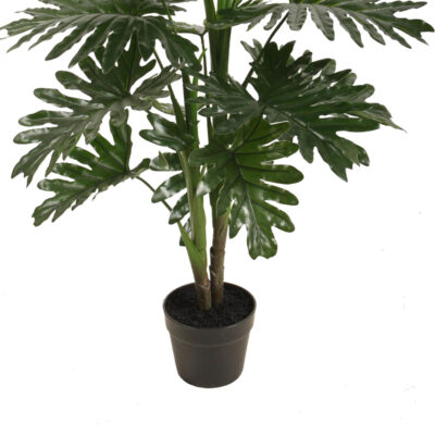 Planta Decorativa Philodendron 90 Cms.