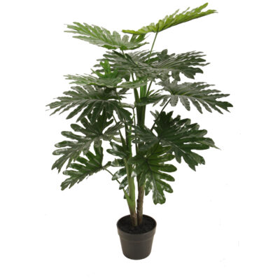 Planta Decorativa Philodendron 90 Cms.