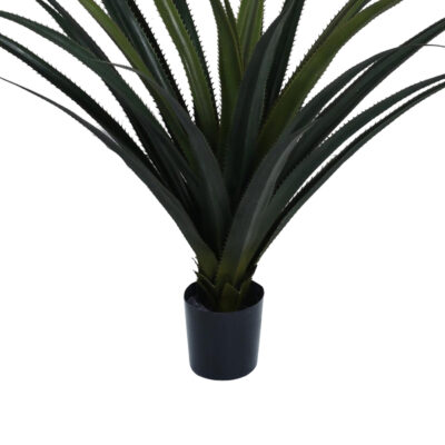 Planta Decorativa Ágave Panadus 80 Cms.