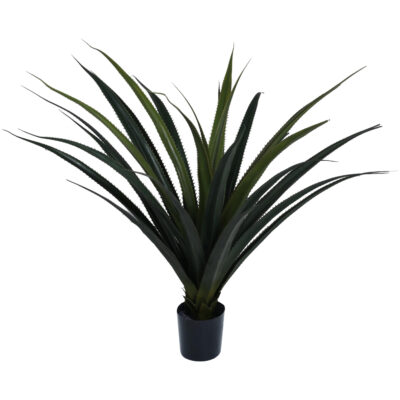 Planta Decorativa Ágave Panadus 80 Cms.