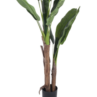 Planta Artificial Alocasia 180 Cm de Alto