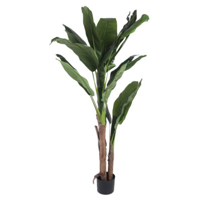 Planta Artificial Alocasia 180 Cm de Alto