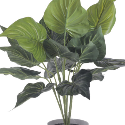 Planta Artificial Alocasia Cucullata 40 Cm de Alto