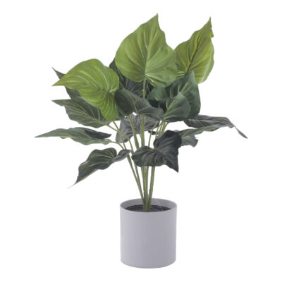 Planta Artificial Alocasia Cucullata 40 Cm de Alto