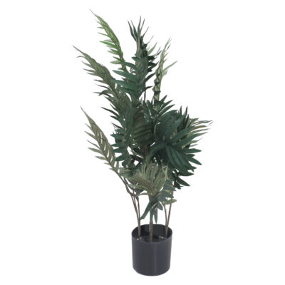 Planta Decorativa Palma Areca 110 Cms.