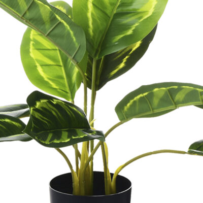 Planta Artificial Dieffenbachia 40 Cm de Alto