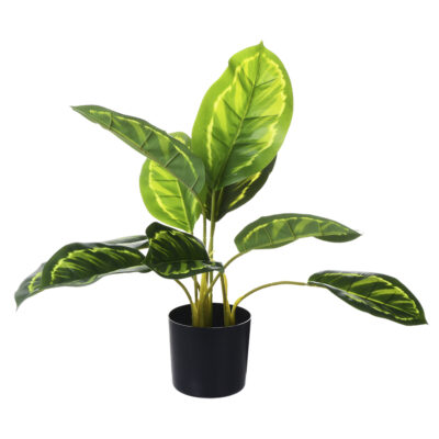 Planta Artificial Dieffenbachia 40 Cm de Alto