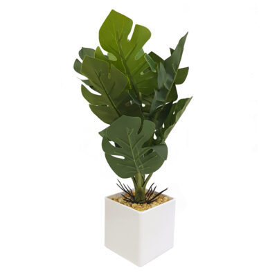 Planta Artificial Pata de Tigre en Maceta Blanca 33 Cm de Alto