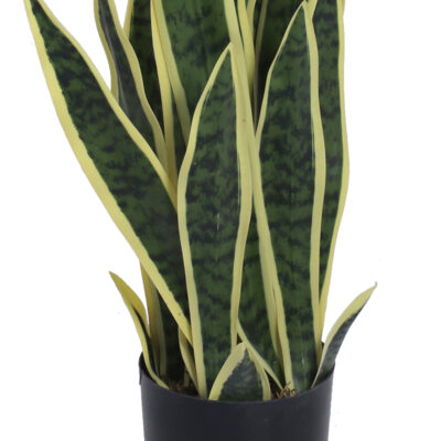 Planta Artificial Snake Plant Gold 60 Cm de Alto